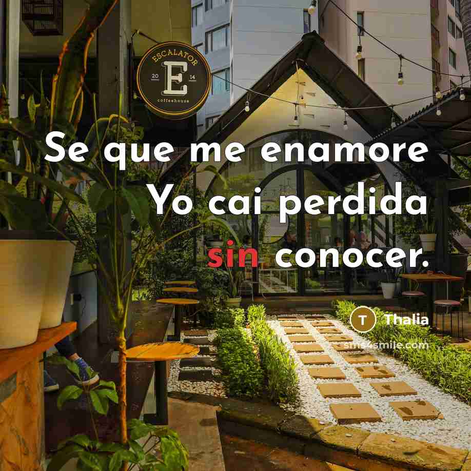 “Se que me enamore Yo cai perdida sin conocer.” quote by Thalia