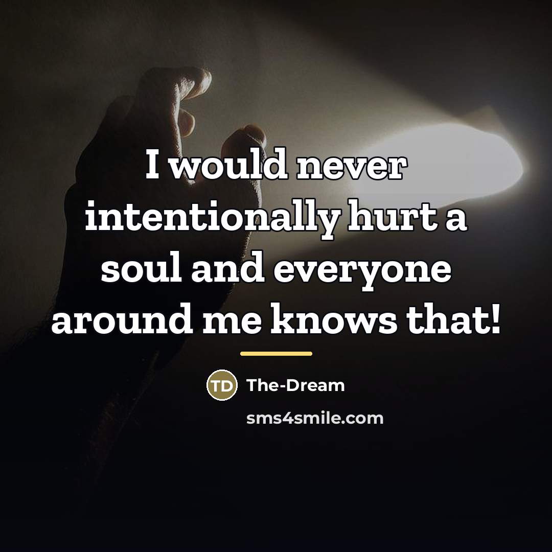 “I would never intentionally hurt a soul and everyone around…” quote by The-Dream
