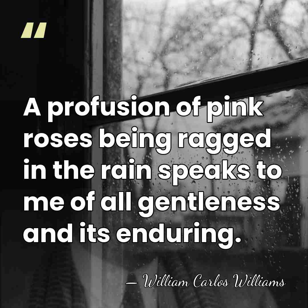 A profusion of pink roses being ragged in the rain speaks to&hellip; - William Carlos Williams