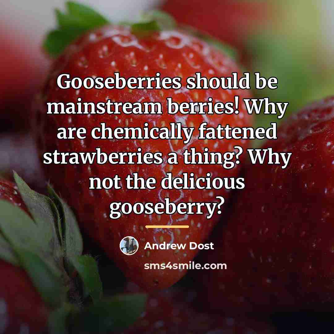 “Gooseberries should be mainstream berries! Why are chemically fattened strawberries…” quote by Andrew Dost