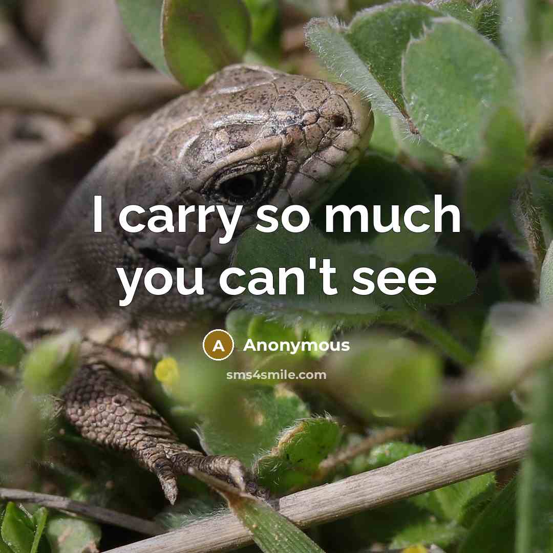“I carry so much you can't see” quote by Anonymous