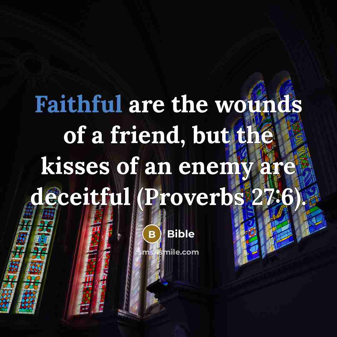 “Faithful are the wounds of a friend, but the kisses…” quote by Bible