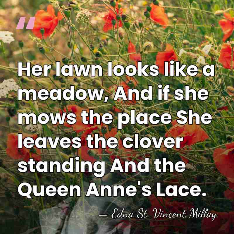 Her lawn looks like a meadow, And if she mows the place&hellip; - Edna St. Vincent Millay