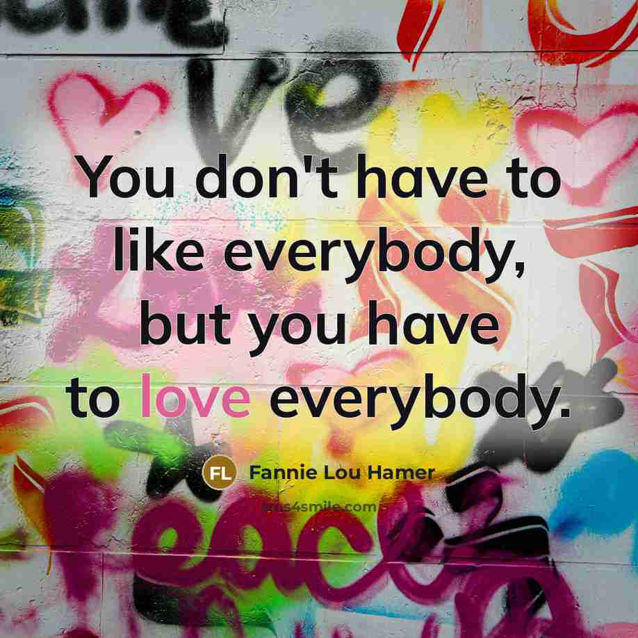 “You don't have to like everybody, but you have to…” quote by Fannie Lou Hamer