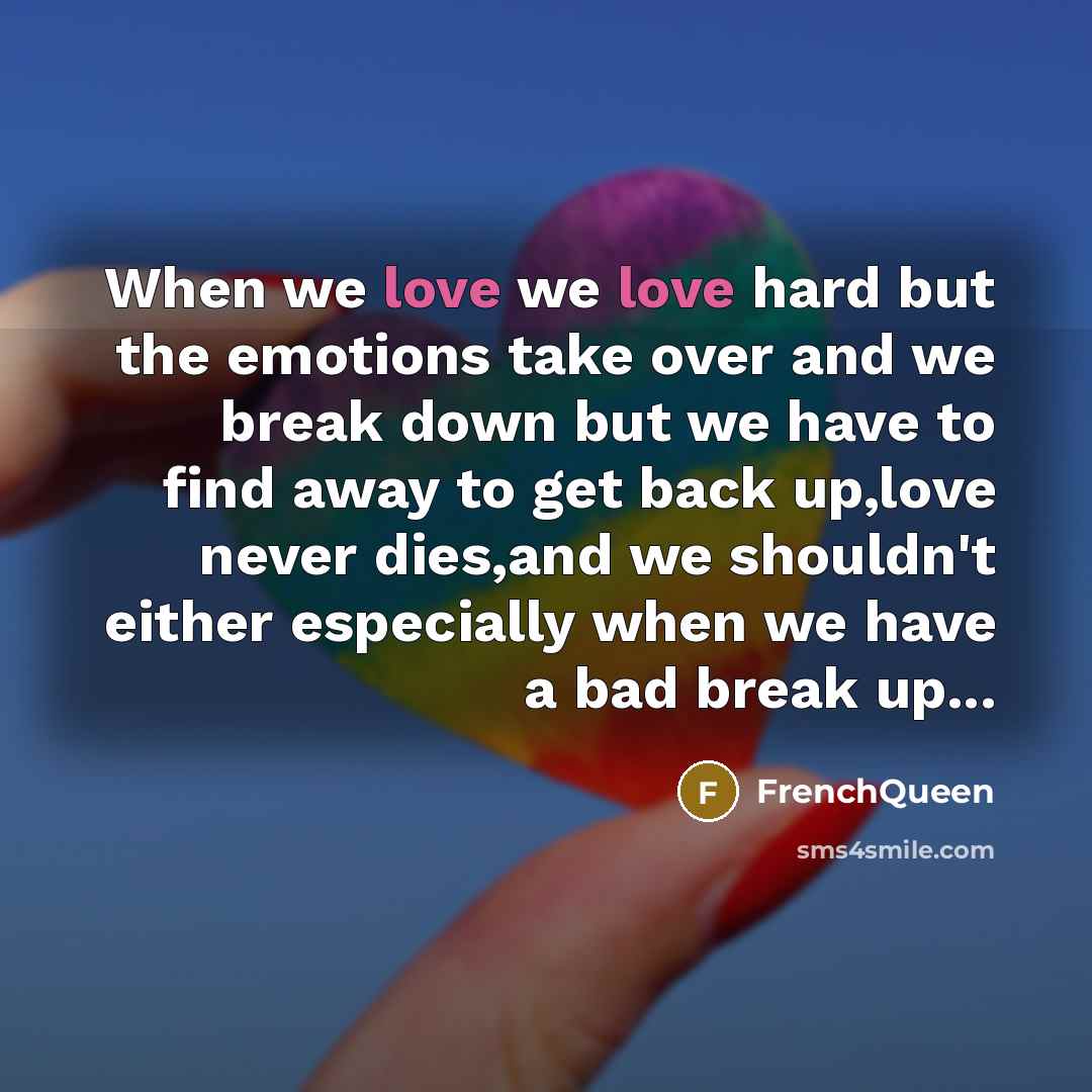“When we love we love hard but the emotions take…” quote by Frenchqueen