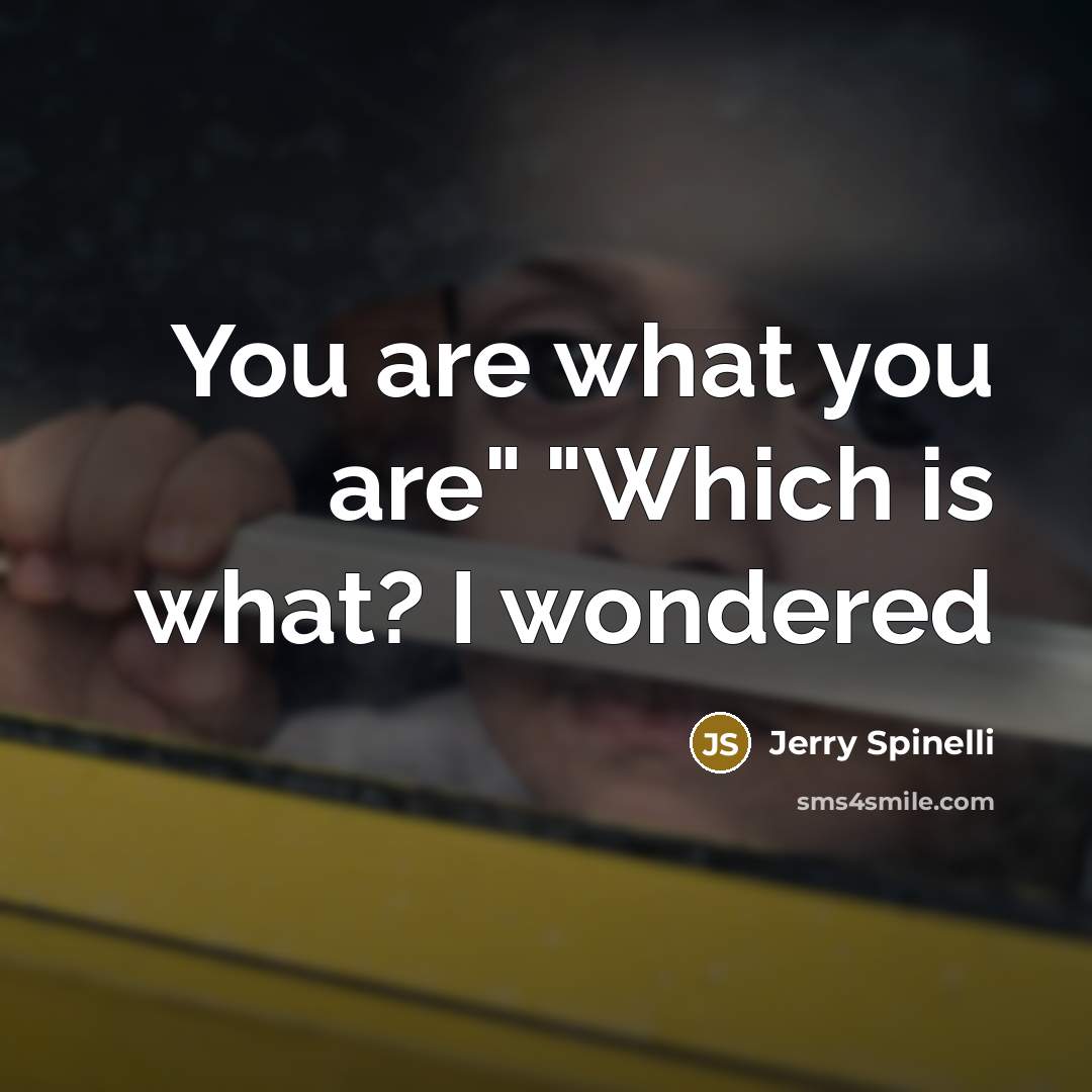 “You are what you are" "Which is what? I wondered…” quote by Jerry Spinelli
