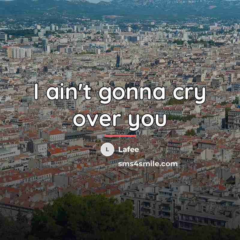 “I ain't gonna cry over you…” quote by Lafee