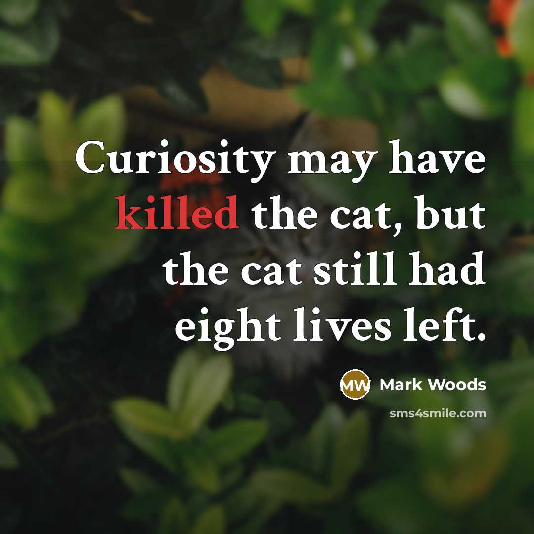 “Curiosity may have killed the cat, but the cat still had eight lives left.” quote by Mark Woods