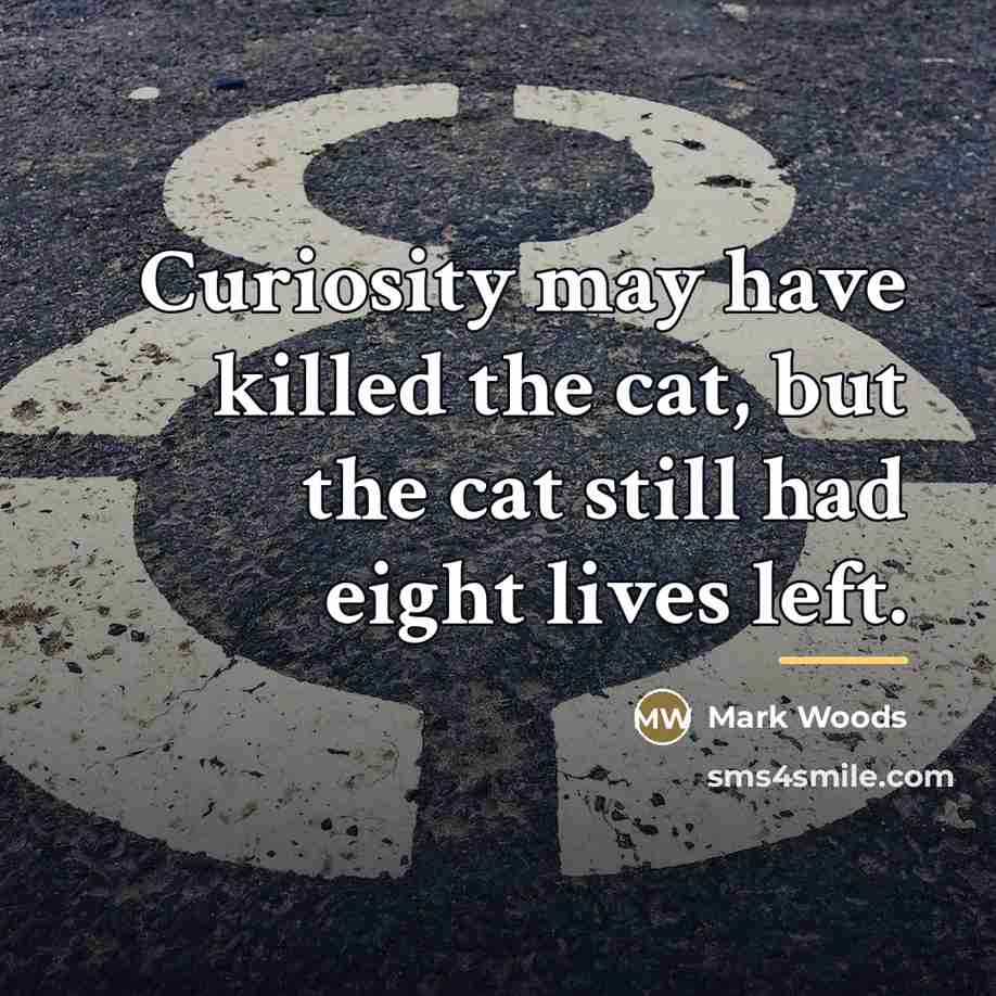 “Curiosity may have killed the cat, but the cat still…” quote by Mark Woods