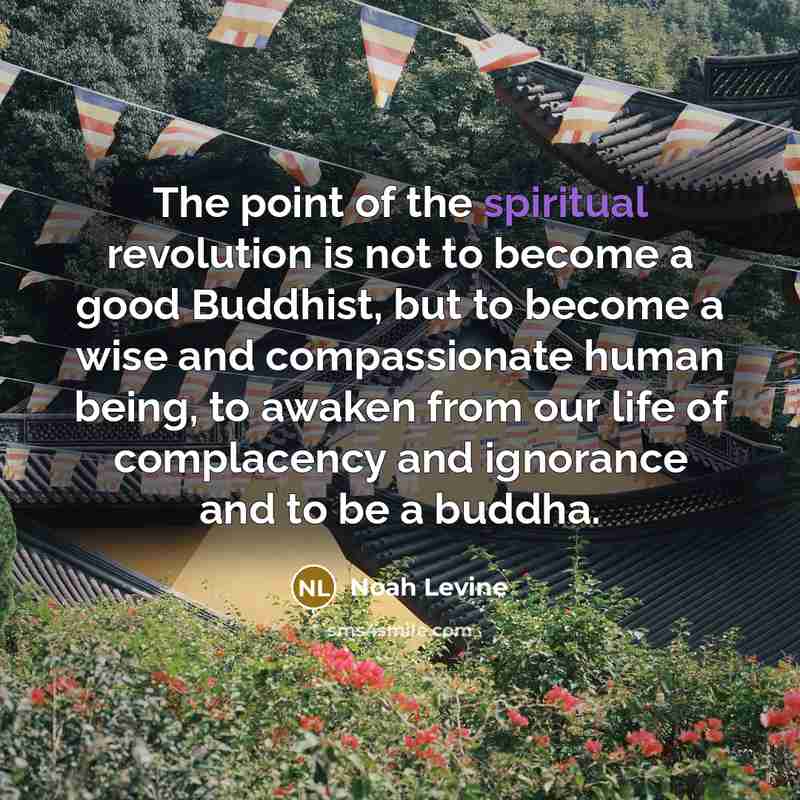 “The point of the spiritual revolution is not to become…” quote by Noah Levine