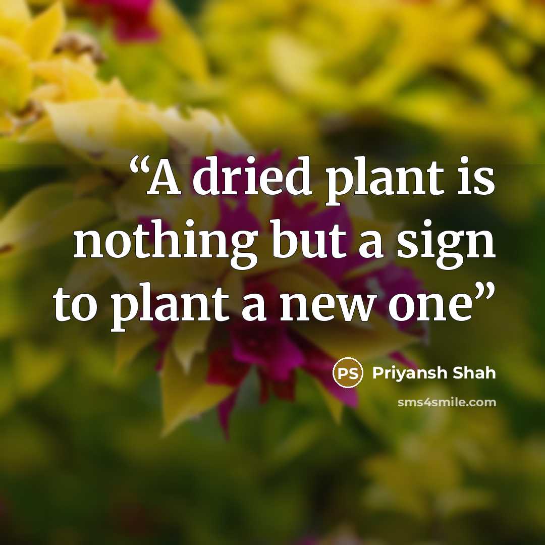 “A dried plant is nothing but a sign to plant a new one” quote by Priyansh Shah