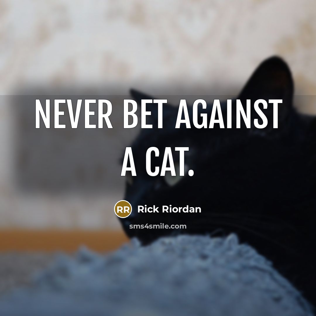 “Never bet against a cat.…” quote by Rick Riordan