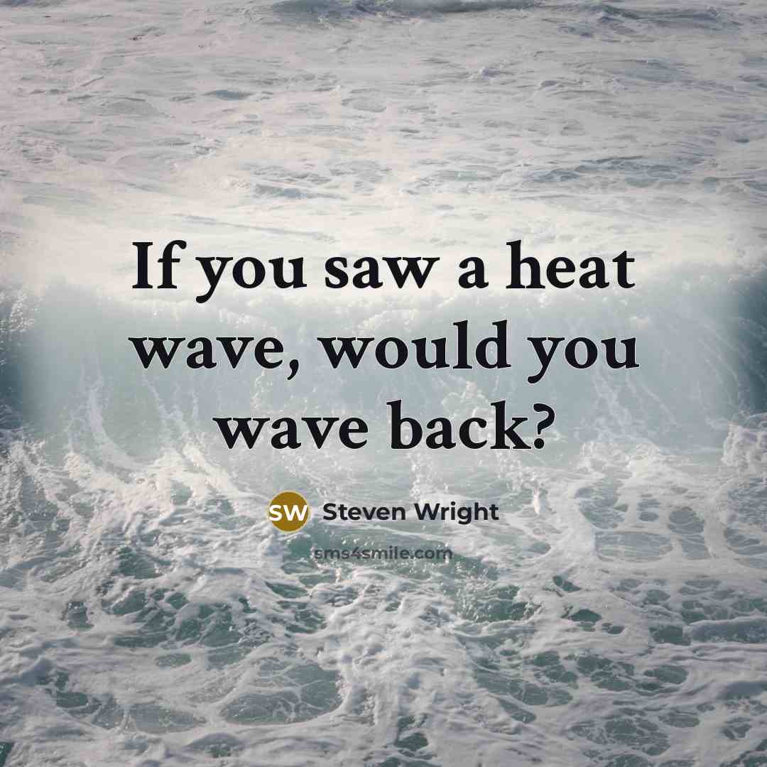 “If you saw a heat wave, would you wave back?…” quote by Steven Wright