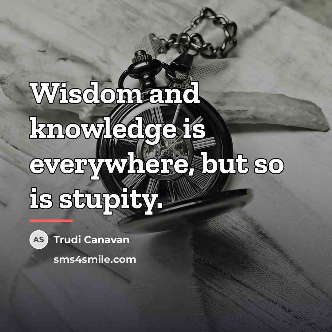 “Wisdom and knowledge is everywhere, but so is stupity.…” quote by Trudi Canavan