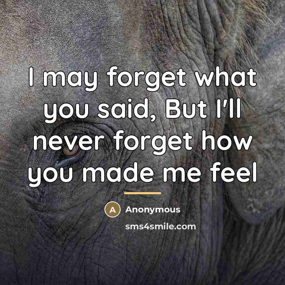 “I may forget what you said, But I'll never forget…” quote by Anonymous