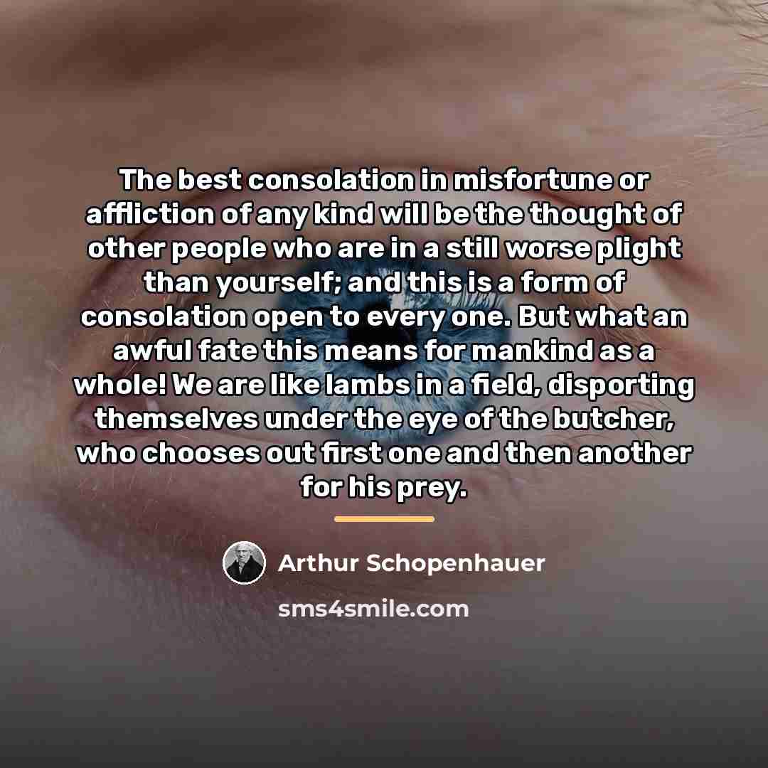 “The best consolation in misfortune or affliction of any kind…” quote by Arthur Schopenhauer