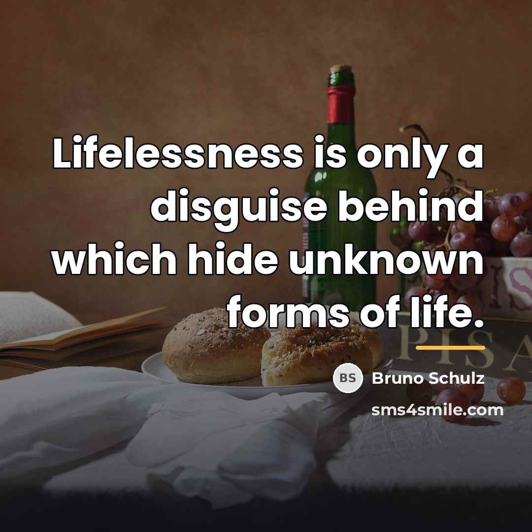 “Lifelessness is only a disguise behind which hide unknown forms…” quote by Bruno Schulz
