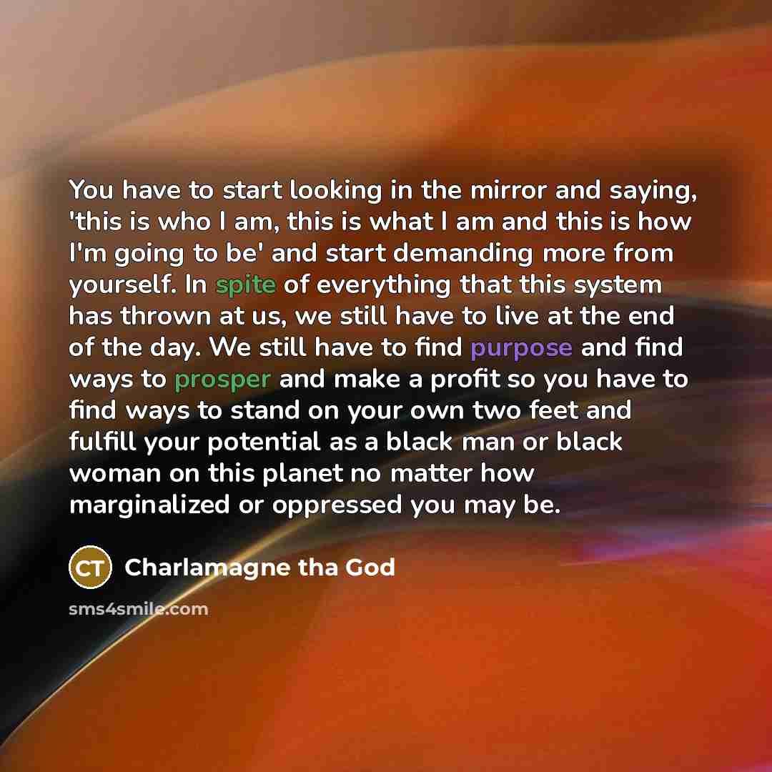 “You have to start looking in the mirror and saying,…” quote by Charlamagne Tha God