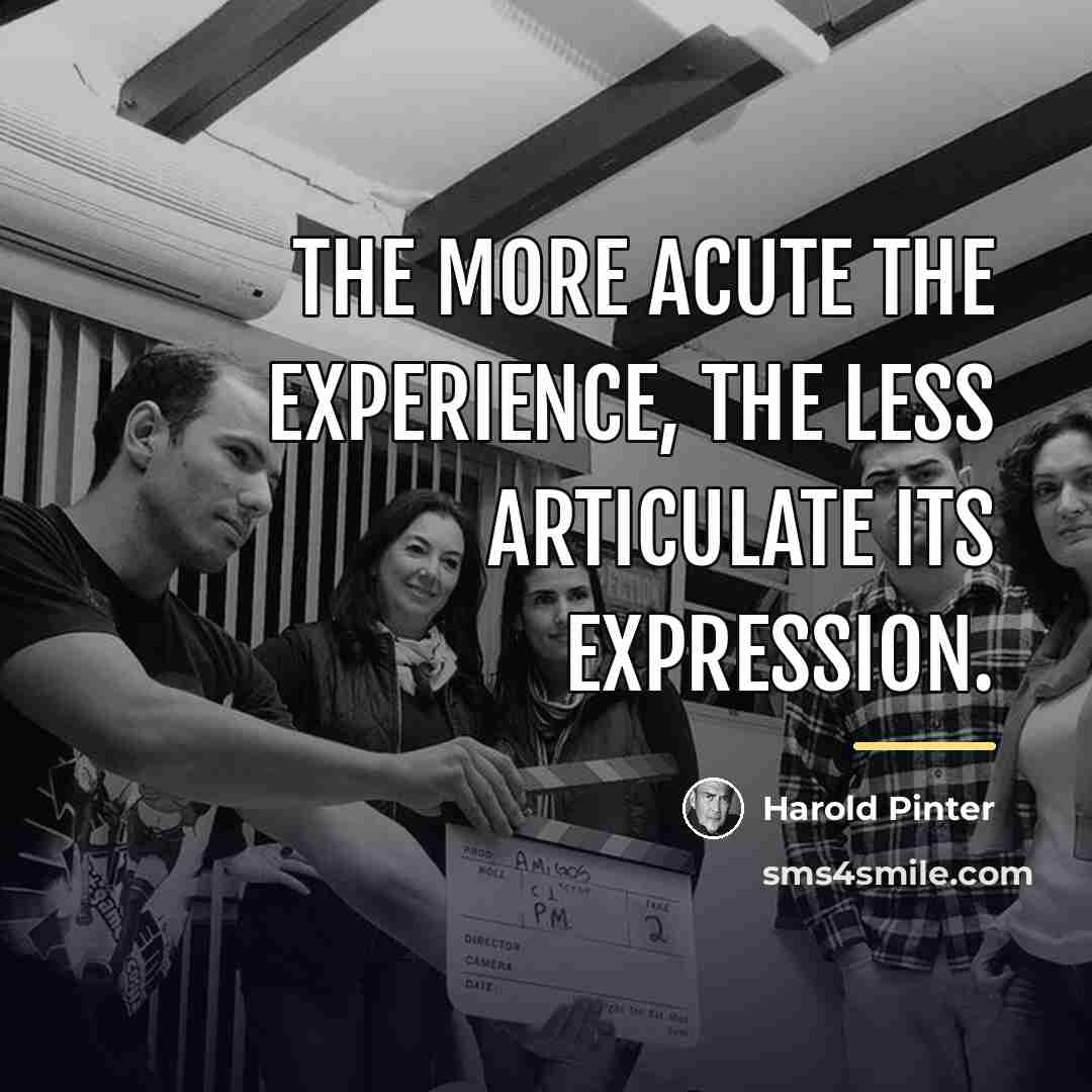 “The more acute the experience, the less articulate its expression.…” quote by Harold Pinter