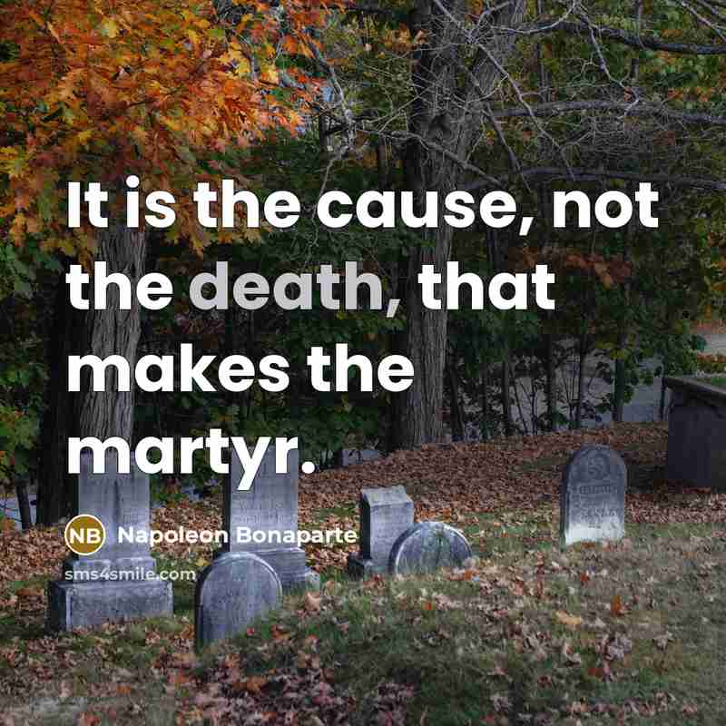 “It is the cause, not the death, that makes the…” quote by Napoleon Bonaparte