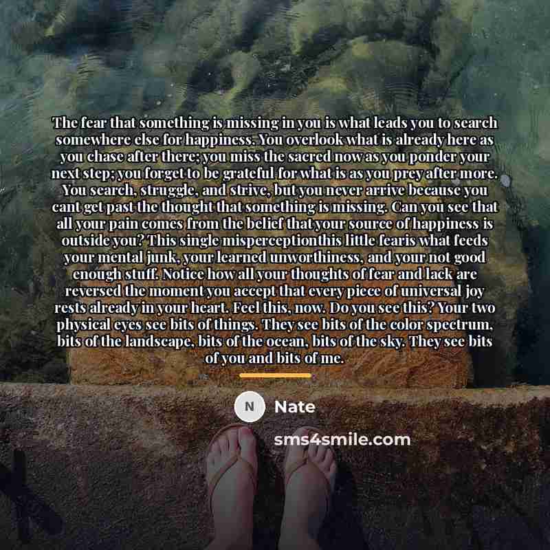 “The fear that something is missing in you is what…” quote by Nate