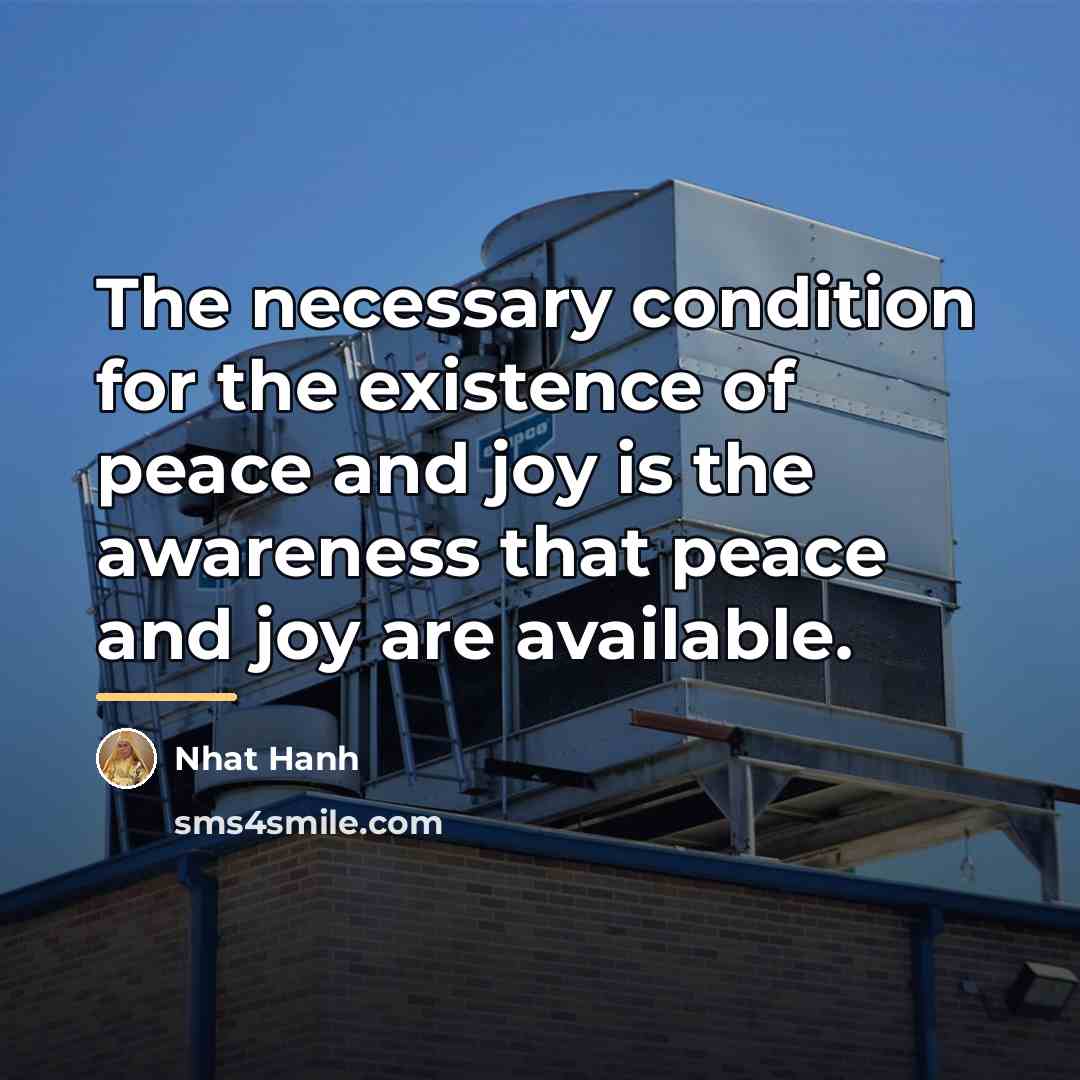“The necessary condition for the existence of peace and joy…” quote by Nhat Hanh