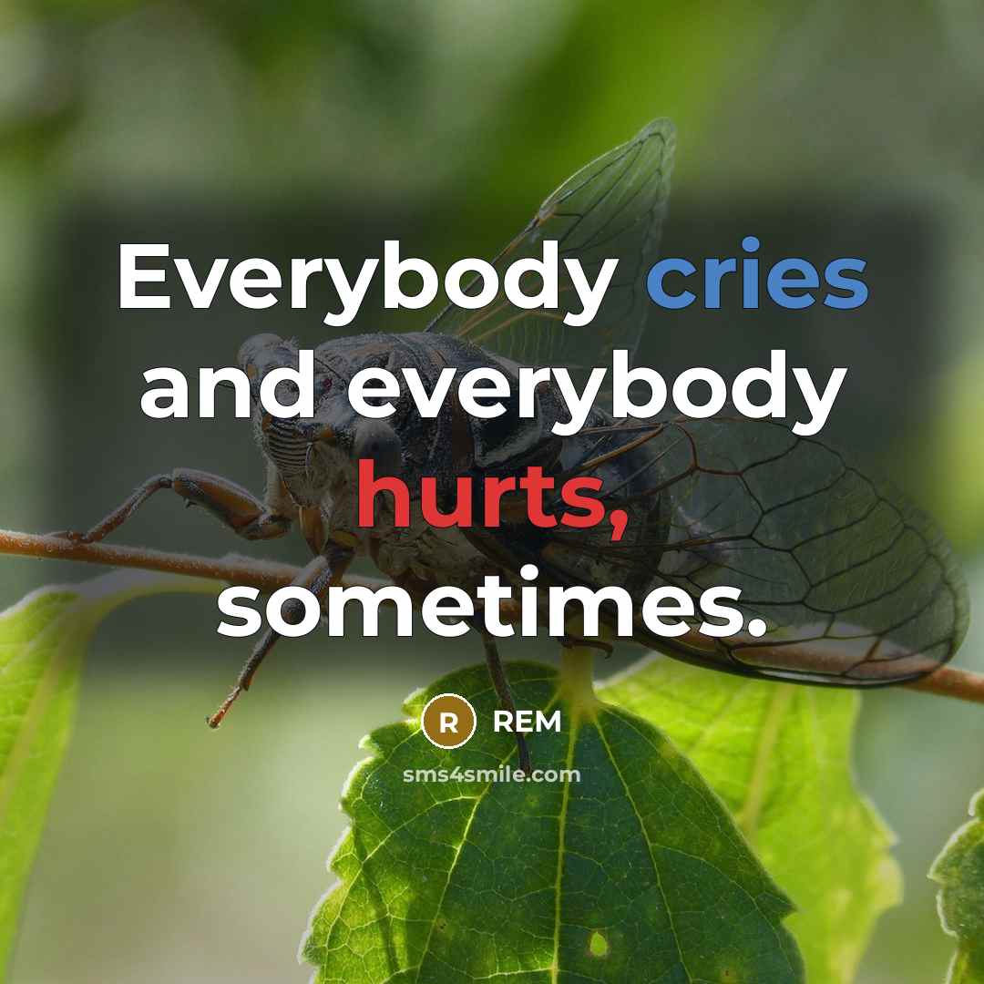 “Everybody cries and everybody hurts, sometimes.” quote by REM