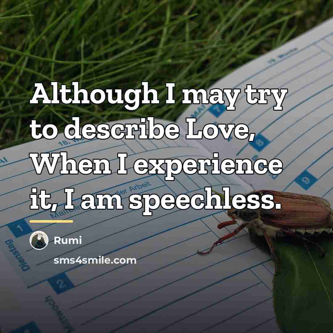 “Although I may try to describe Love, When I experience…” quote by Rumi