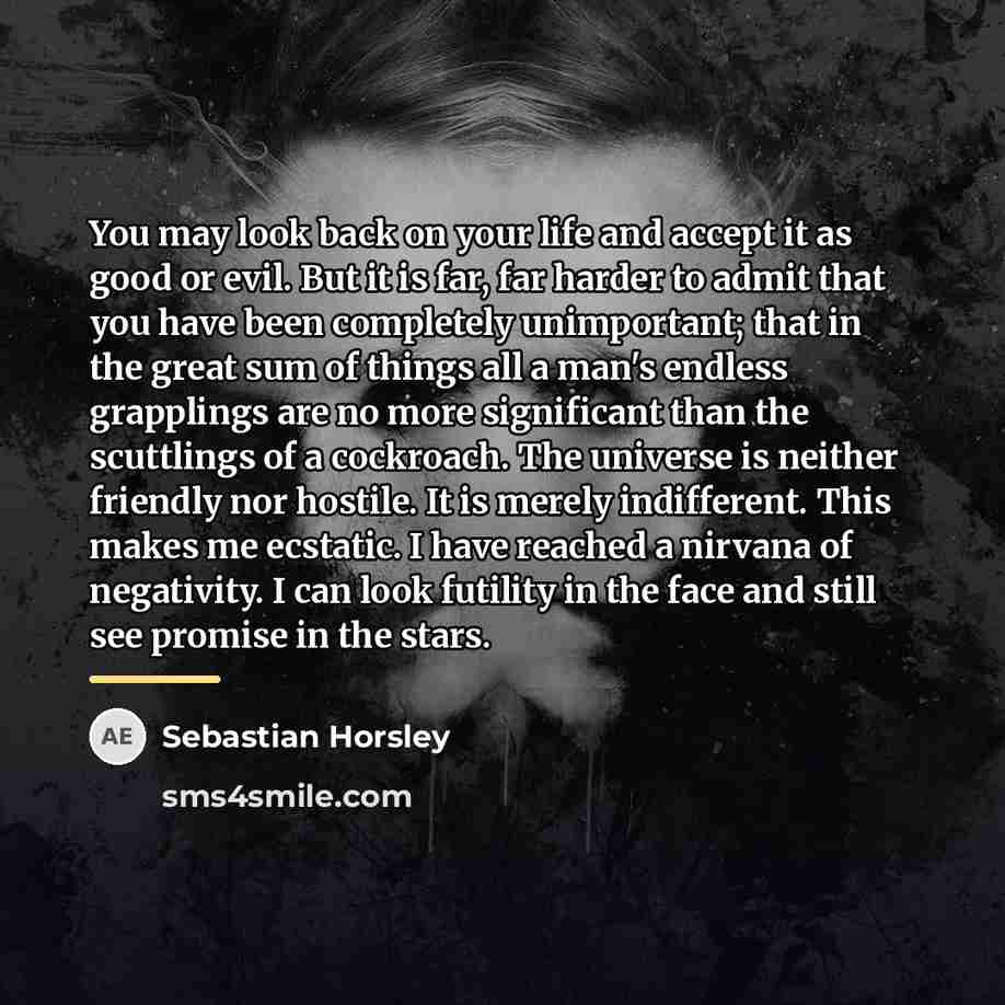 “You may look back on your life and accept it…” quote by Sebastian Horsley