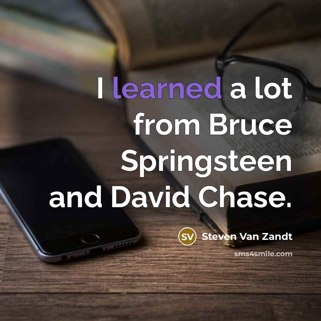 “I learned a lot from Bruce Springsteen and David Chase.…” quote by Steven Van Zandt