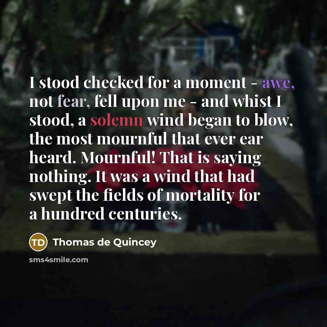 “I stood checked for a moment - awe, not fear,…” quote by Thomas de Quincey