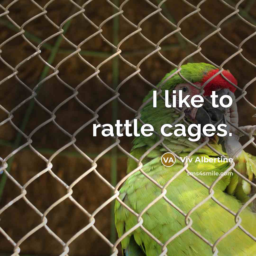 “I like to rattle cages.…” quote by Viv Albertine