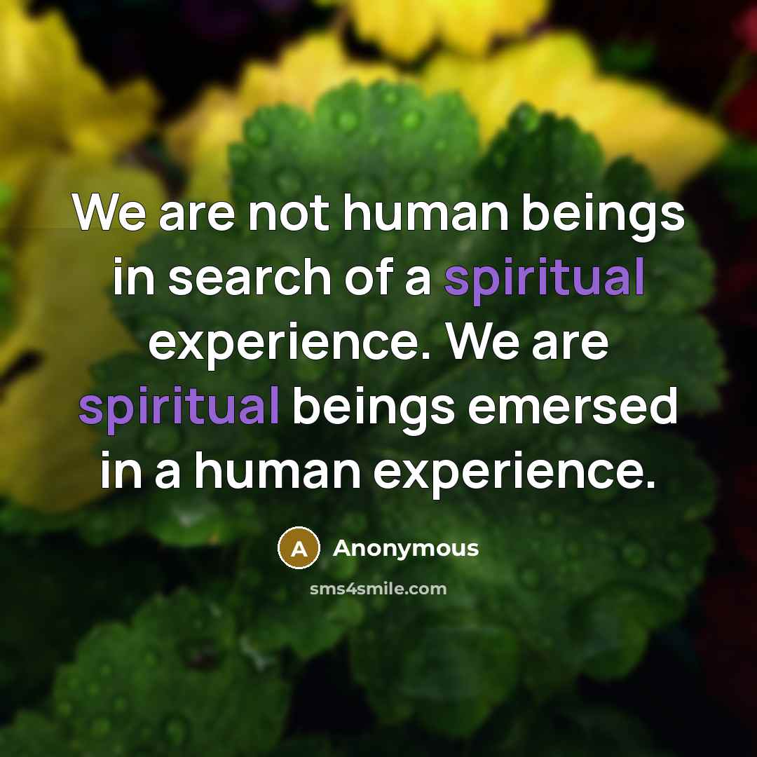 “We are not human beings in search of a spiritual…” quote by Anonymous