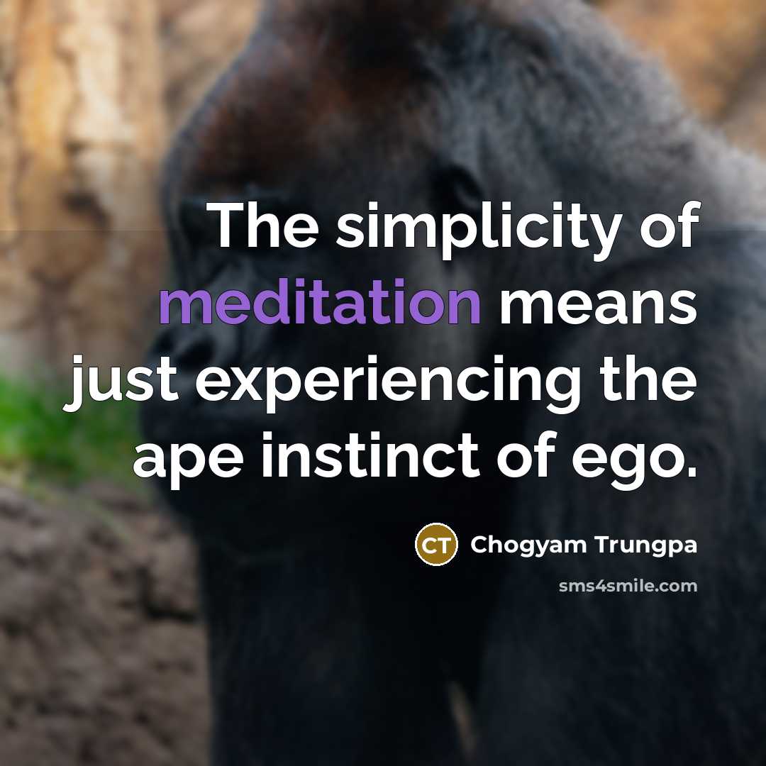 “The simplicity of meditation means just experiencing the ape instinct…” quote by Chogyam Trungpa