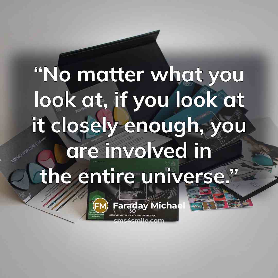 “No matter what you look at, if you look at it closely enough, you are involved in the entire universe.” quote by Faraday Michael