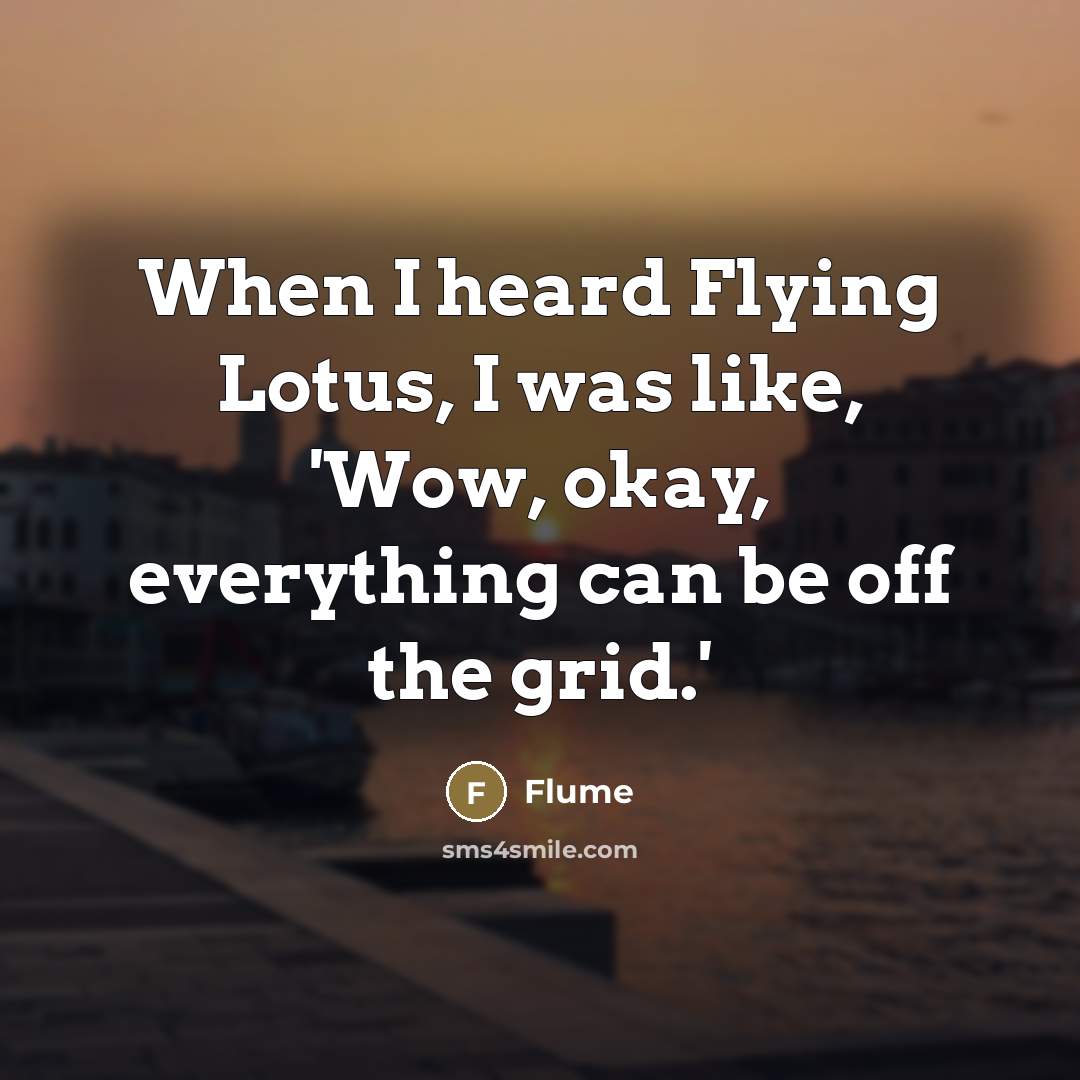 “When I heard Flying Lotus, I was like, 'Wow, okay,…” quote by Flume