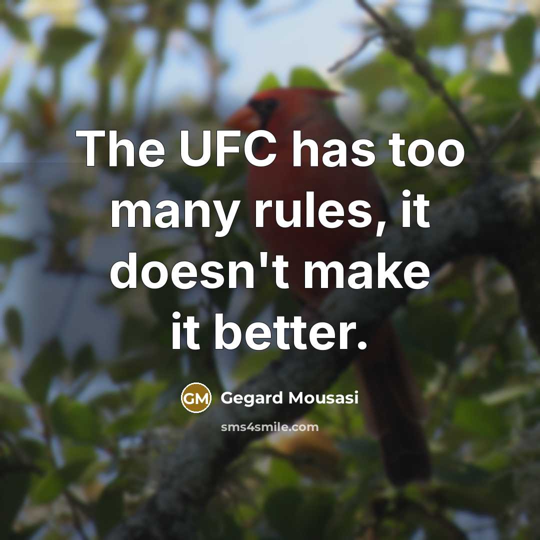 “The UFC has too many rules, it doesn't make it…” quote by Gegard Mousasi