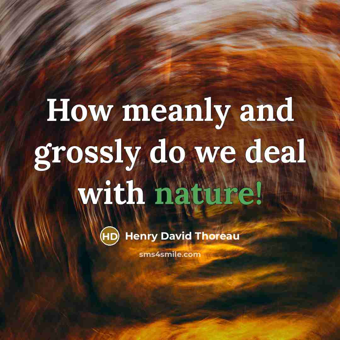 “How meanly and grossly do we deal with nature!…” quote by Henry David Thoreau