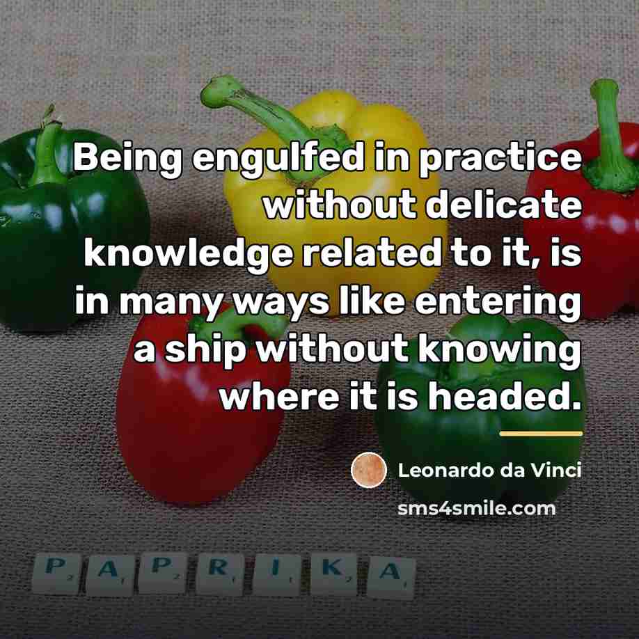 “Being engulfed in practice without delicate knowledge related to it,…” quote by Leonardo da Vinci