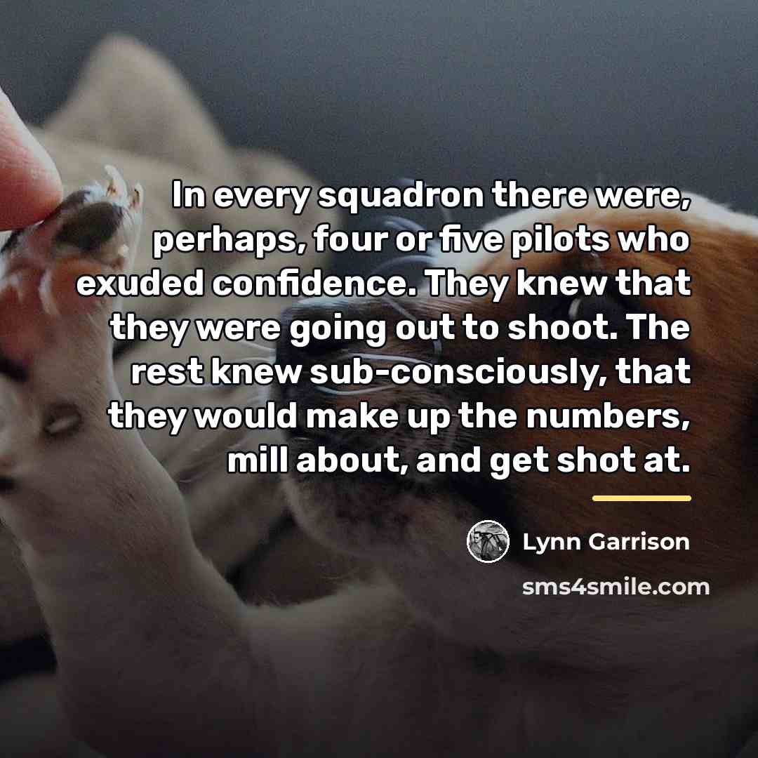 “In every squadron there were, perhaps, four or five pilots…” quote by Lynn Garrison