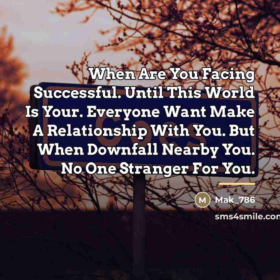 “When Are You Facing Successful. Until This World Is Your.…” quote by Mak_786