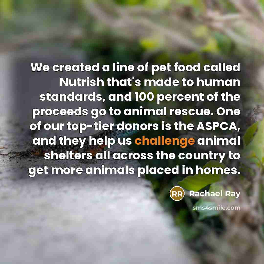 “We created a line of pet food called Nutrish that's…” quote by Rachael Ray