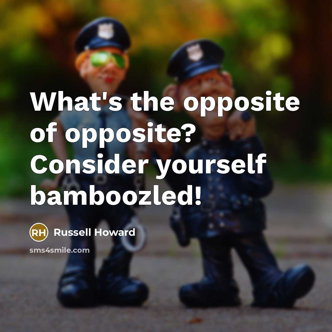 “What's the opposite of opposite? Consider yourself bamboozled!…” quote by Russell Howard