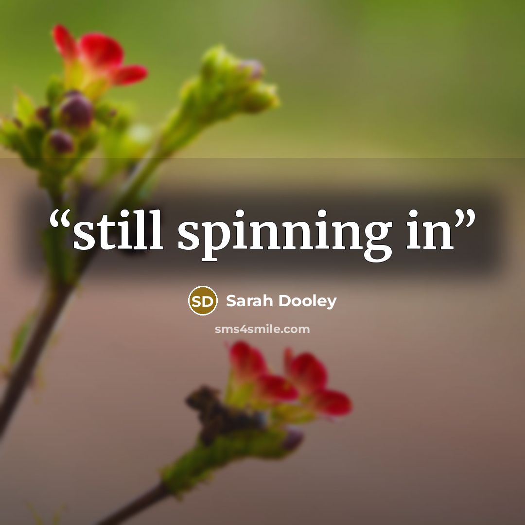 “still spinning in” quote by Sarah Dooley