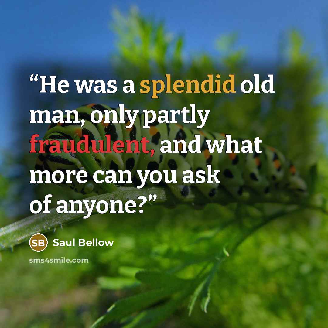 “He was a splendid old man, only partly fraudulent, and what more can you ask of anyone?” quote by Saul Bellow