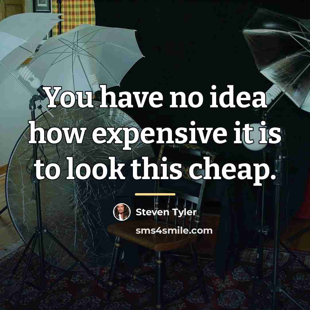 “You have no idea how expensive it is to look…” quote by Steven Tyler