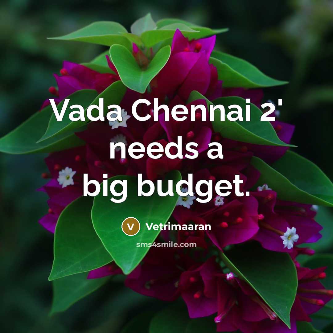 “Vada Chennai 2' needs a big budget.…” quote by Vetrimaaran