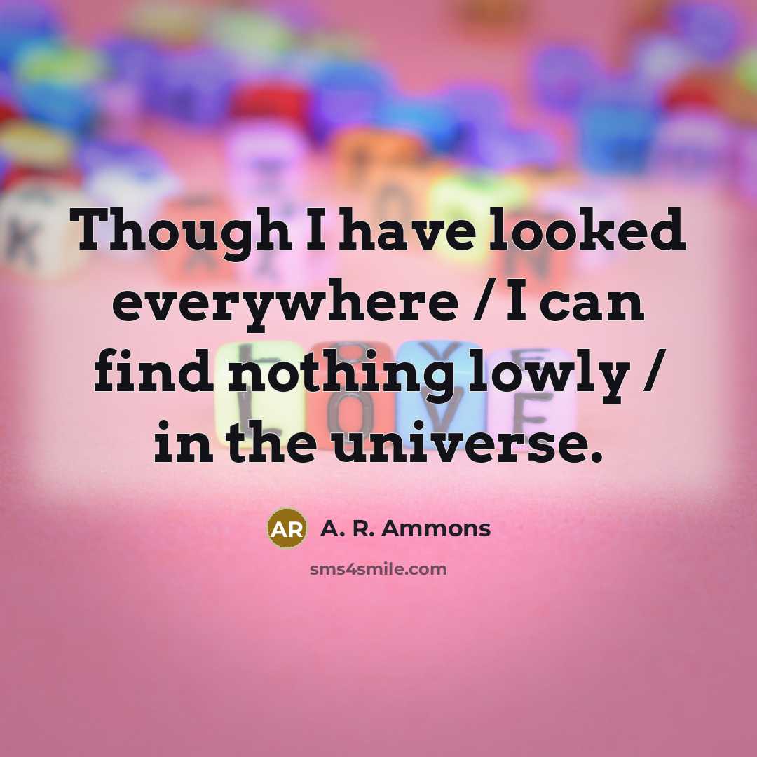 “Though I have looked everywhere / I can find nothing…” quote by A. R. Ammons