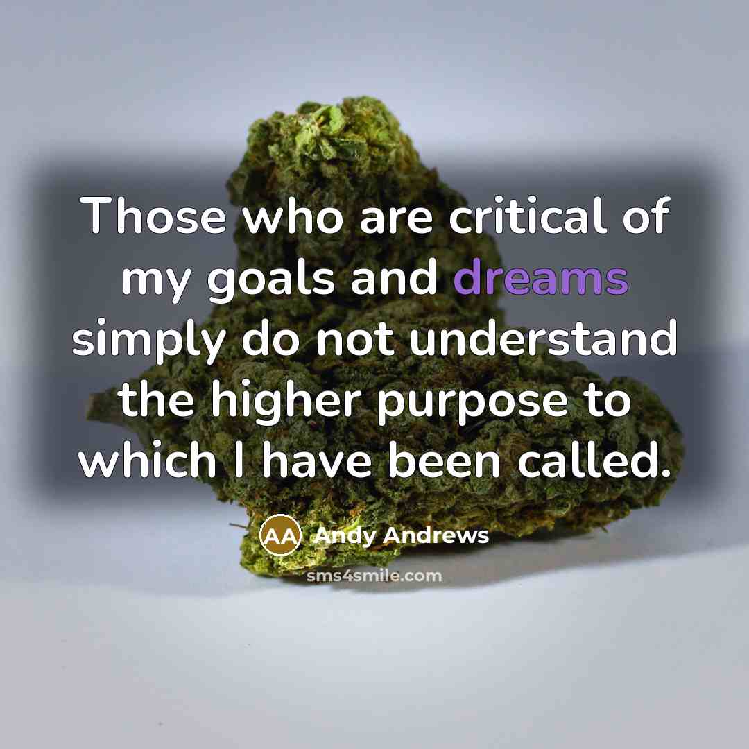 “Those who are critical of my goals and dreams simply…” quote by Andy Andrews