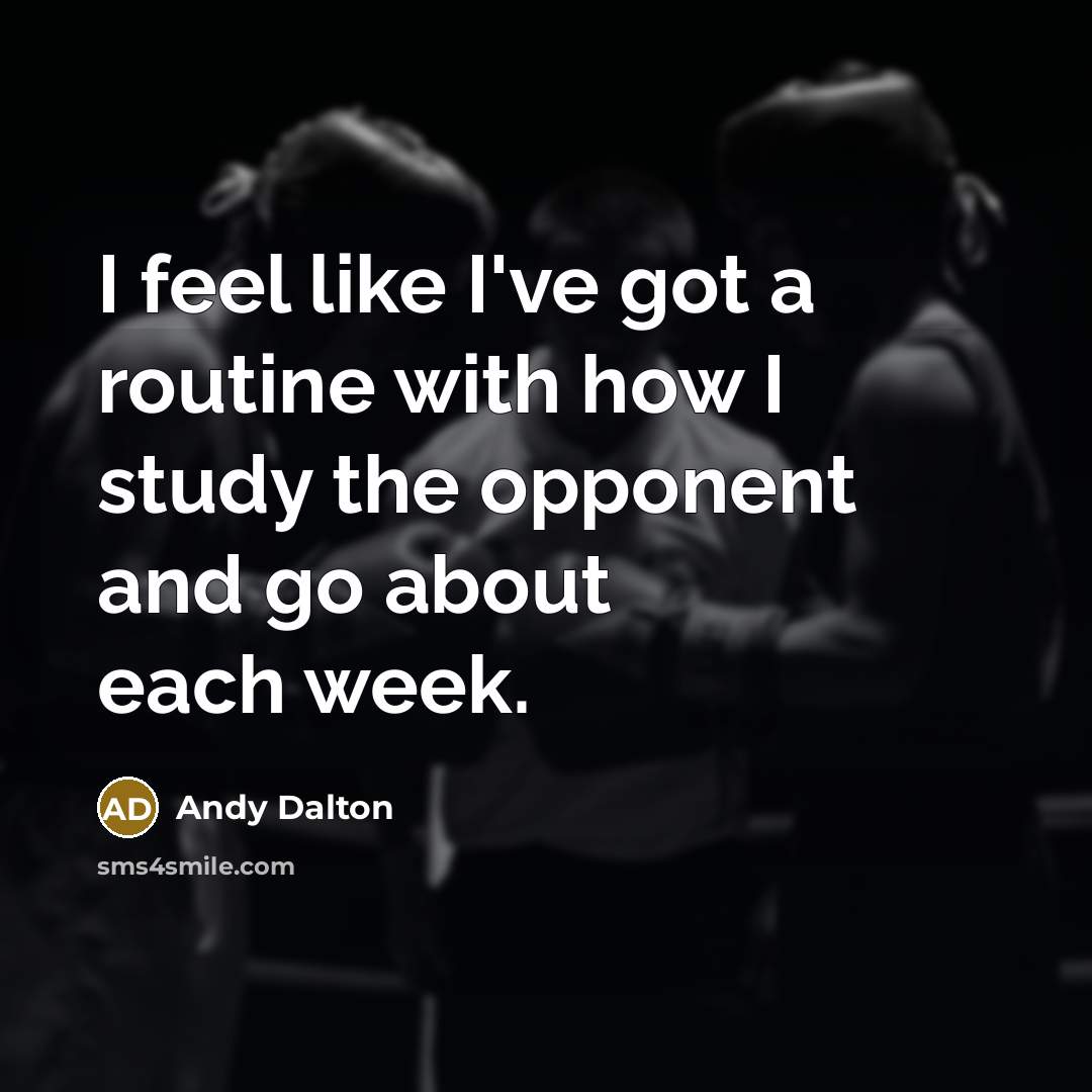 “I feel like I've got a routine with how I…” quote by Andy Dalton